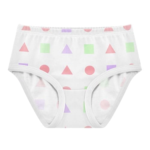 Geometry Toddler Girls's Underwear 2T 2303169