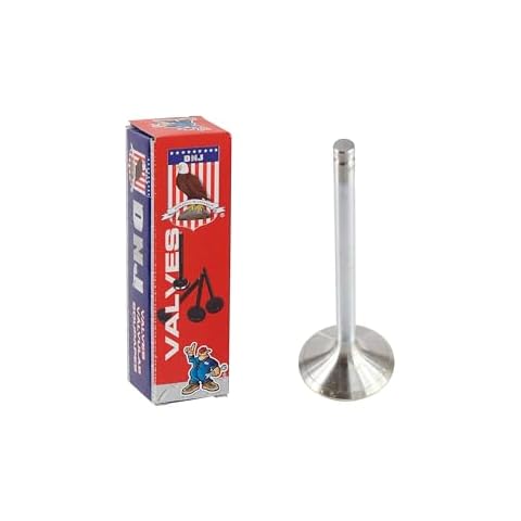 DNJ Exhaust Valve for GM Vehicles Cover