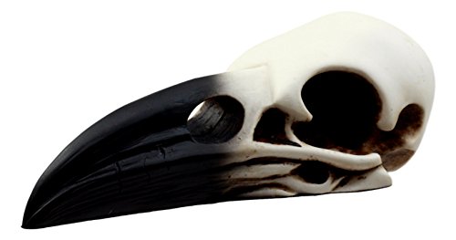 Ebros Edgar Poe Gothic Raven Skull Statue 7" Long Crow Scavenger Bird Ossuary Figurine Corvus Corax Fossil Sculptural #TOP1