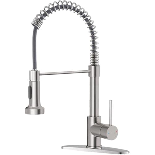 Kitchen Faucet with Pull Down Sprayer Brushed Nickel