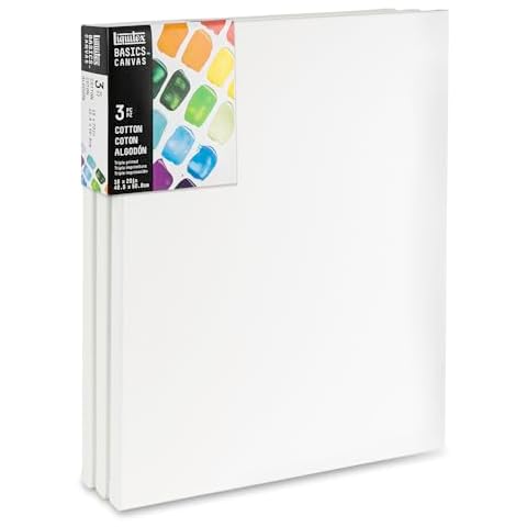 Liquitex BASICS 16" x 20" Canvas Cover