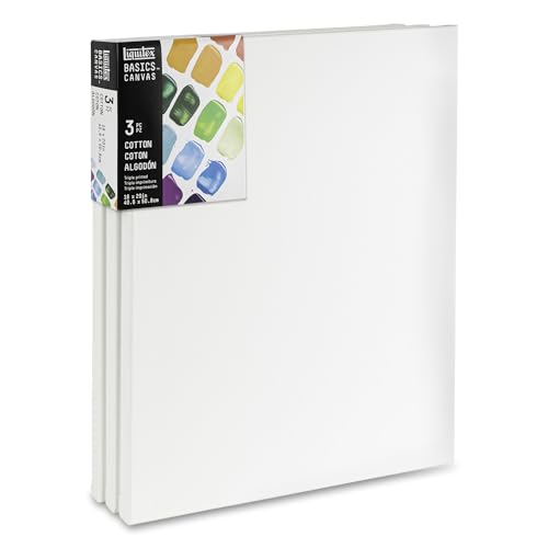 Liquitex BASICS Canvas, 3 pack, 16" x 20" by Liquitex - Used condition - US$20.47