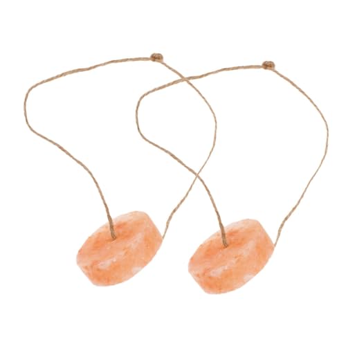 Kisangel 2pcs Small Pets Salt Block Rope Mineral Chew Treats for Guinea Pigs Ferrets and Small Animals Promotes Healthy Teeth and Provides