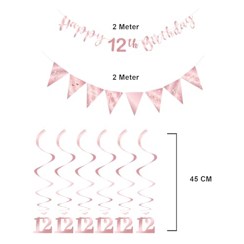 BRT Bearingshui 12th Birthday Decoration Kit, Happy 12th Birthday Banner Bunting Swirls Streamers, T