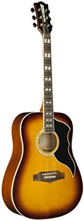 EKO Guitars 06216940 RANGER Series VR VI Dreadnought Acoustic Guitar, Honey Burst