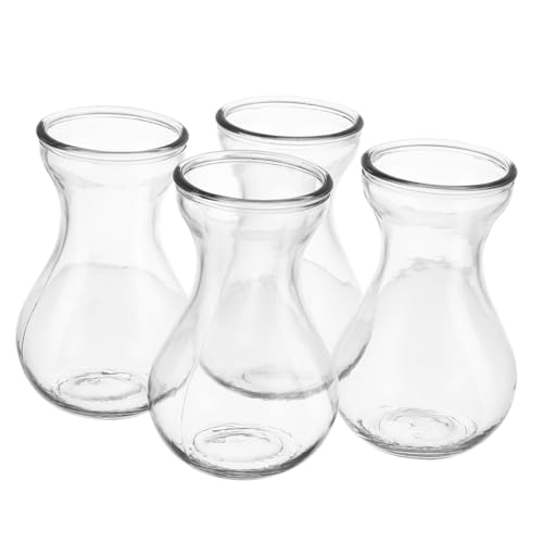UKCOCO Vase à Fleurs en Verre Transparent Lot De 4 Pièces Taille Moyenne Verre Sûr Hydroponique Décor Maison Bureau Balcon Jardin