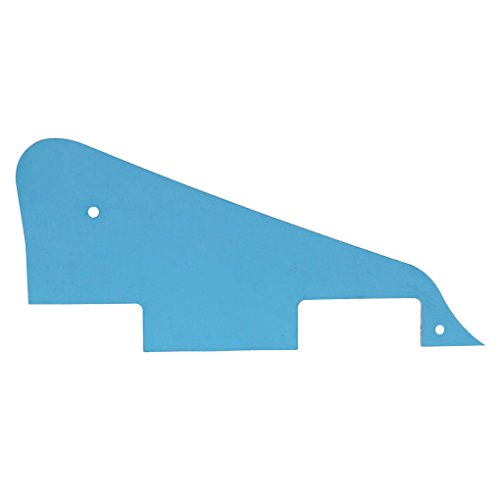 IKN Standard LP Battipenna antigraffio con staffa