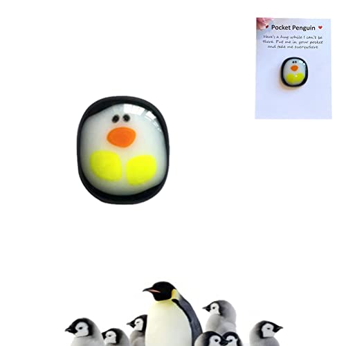 Boxwizard Une petite poche en forme de pingouin - En verre - Ornement de poche avec carte de vœux - Cadeau animal mignon Cover