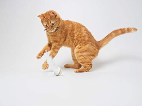 Par Brinquedos Ginga Madpop para Gatos