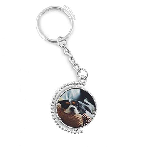 Llavero giratorio de perro perezoso animal sentimental para llaves
