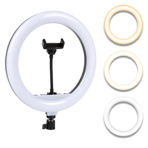 Image of 10 Inch LED Ring Light with Mobile Holder | 3 Color Lighting Modes | Adjustable Brightness | USB Powered Selfie Ring Light for Photography, Makeup, Video Recording