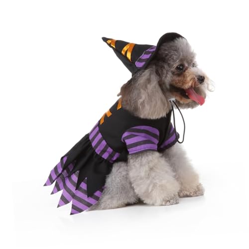 Disfraz de Bruja para Perros Halloween SHINEOFI L miniatura 6