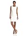 Calvin Klein Women's Sleeveless Starburst Sheath Dress