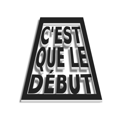 『C'EST QUE LE DÉBUT』のカバーアート