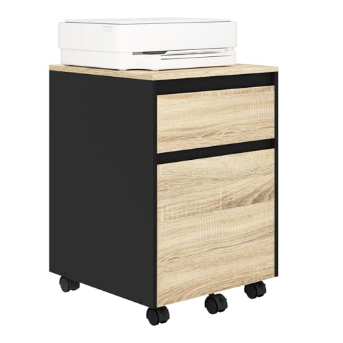WOLTU Rollcontainer, Aktenschrank mit 2 Schubladen, mobiler Büroschrank, Schreibtisch Unterschrank, Druckerschrank auf Rollen, für Büro Homeoffice, 40x56x40 cm