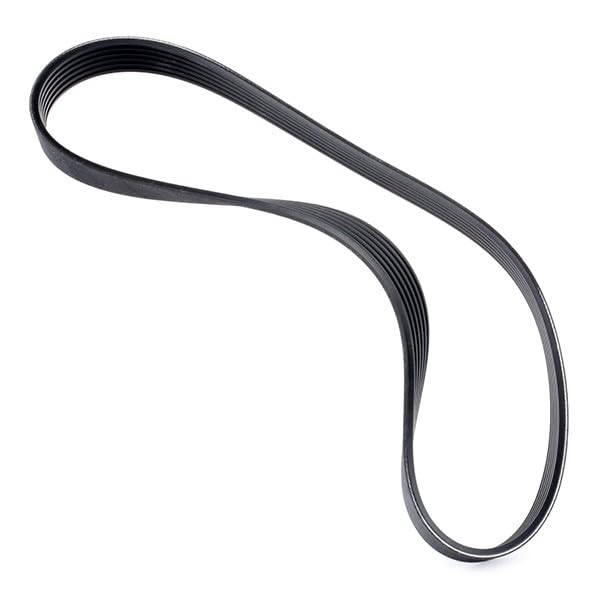 Amazon.com: BOSCH 1987948342 Trap.c.dent.int strap. : Everything Else