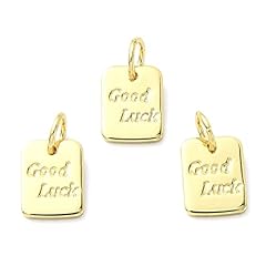 Good Luck Message Charms_20 Pcs