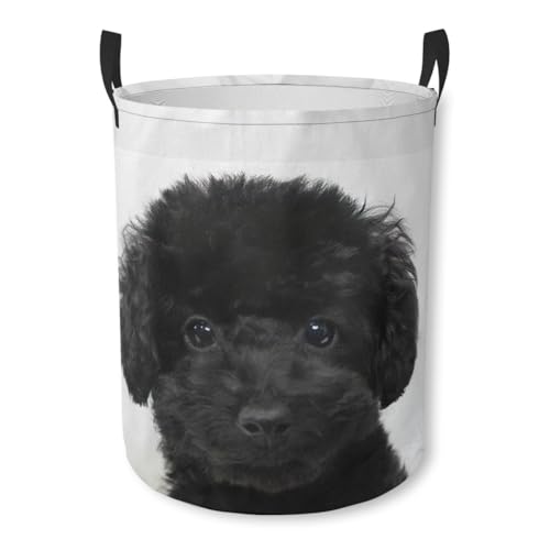 50's プードル　ランドリーハンパー 1950'S PEARL WICK フィフティーズ プードル＆エッフェル塔