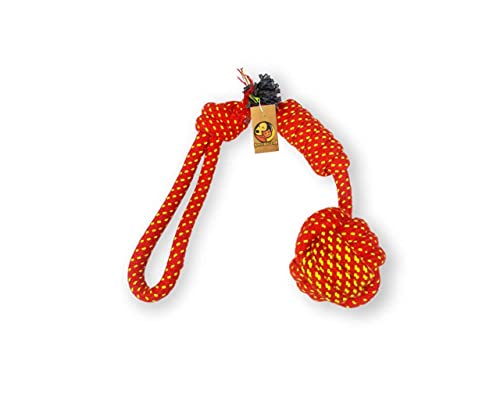 Image of Foodie Puppies Durable Pet Teething, Cleaning, Chewing, Biting Knotted Rope Toys for Dogs | Durable Dog Training Toy for Medium Dogs with 100% Natural Cotton (Handle Knotted Ball)