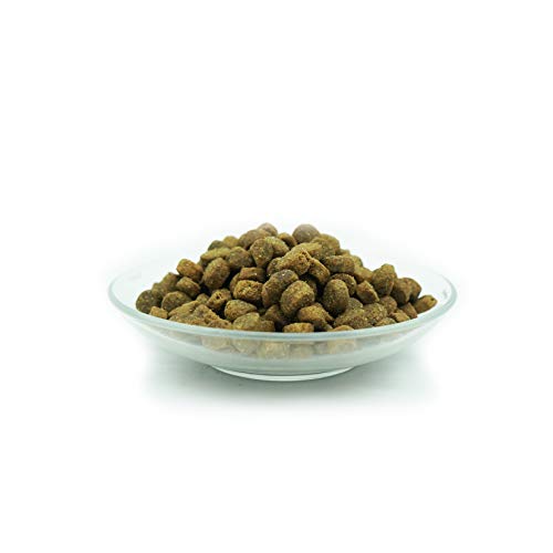 Bellfor PUR VitalPlus Trockenfutter für Hunde, glutenfrei mit hohem Lammanteil, 10 kg - reich an Omega-3 & natürlichen Antioxidantien. Getreidefreies Trockenfutter für Hunde.