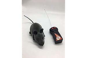 Electronic Remote Control Rat, A Fun Way to Play with Your Pets or Little Kids
