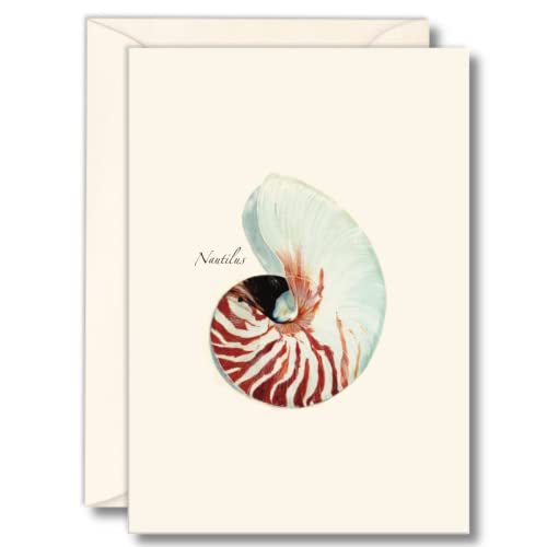 Image of Earth Sky + Water - Nautilus Notecard Set - 8 Blank Cards with Envelopes