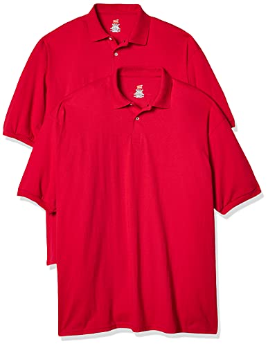 Hanes EcoSmart Jersey Polo, Short-Sleeve Men, T-Shirt, 2-Pack