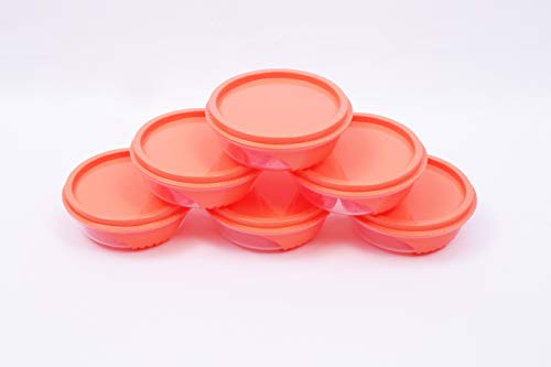 Wonder Plastic Prime Polo Fridge Bottle Set, 2 Pcs Bottle 800 Ml, Grey Brown Color, Made In India