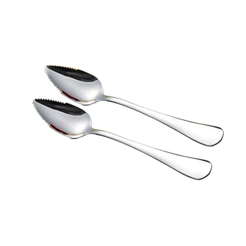 2Pcs Grapefruit Spoon Stainless Steel Fruit Spoon, Stainless Steel Spoon, Serrated Edge Ice Cream Scrape Cut Spoons For Fruit Dessert Cheese Vegetables