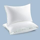 Sleepmax Cotton Pillows, Pillows Queen Size Set of 2, Hotel Down Alternative Bed Pillows for...