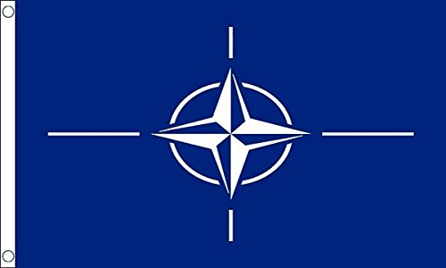 Flagtex Unisex's N.A.T.O vlag, meerkleurig, groot