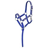Tough 1 Nylon I Love My Mini Miniature Halter, Blue/Royal, Small