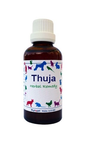 Phytopet Thuja Tincture 100ml