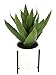 Produktbild Künstliche Agave im Topf mit Gestell Sukkulentenpflanze Dickblatt Pflanze Kakteen Kaktus Aloe Vera Grünpflanze Zimmerpflanze Kunstpflanze Sansevieria Sukkulente Kalanchoe Topfpflanze Yucca Deko
