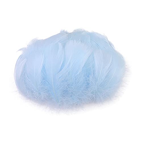 Nsiwem Piume 400 Pezzi Piume Colorate Decorative