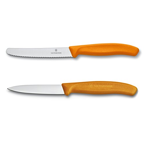 Victorinox VIC-6.7836.7606.9US1 Swiss Classic Pillow Packs 4½