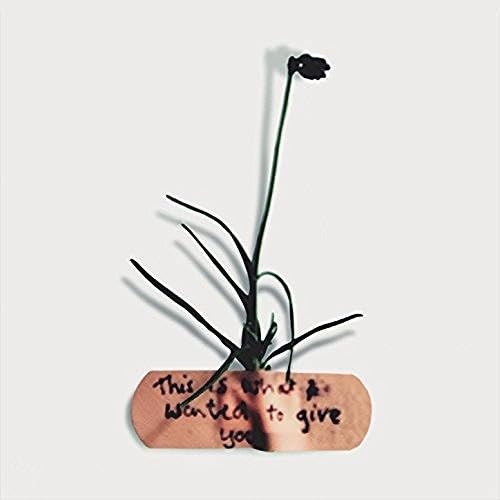 This Is What I Wanted To Give You