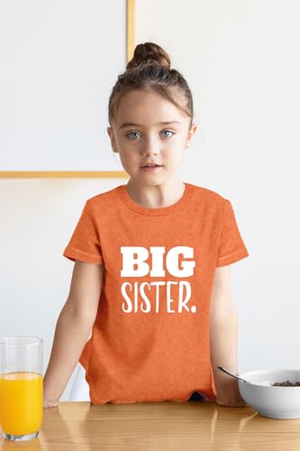 Image of Big Sister Shirt Big Sister Announcement Toddler Shirts Promoted to Girls Outfit