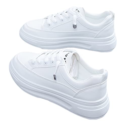 [LECMT] Xj[J[ 23.5cm fB[X [Jbg [XAbv JWAV[Y jOV[Y Xb| ₷ ɂ ~ ʋC 킢  zCg ʋ Z w ʊw ~ t