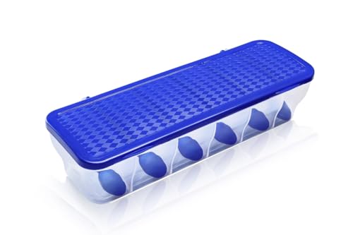 Image of Xmart India Multipurpose 6-in-1 Masala Box for Kitchen - BPA-Free Plastic Kitchen Storage Box with 6 Sections & Spoons, 1800ml Masala Container Kitchen Accessories Items for Home Storage Box (2,Blue)