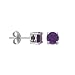 Sterling Silver Genuine African Amethyst Round February Birthstone Stud Earrings