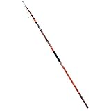 Fishing Ferrari Cast Maxxx 4,20 m 200 gr Canna Surfcasting