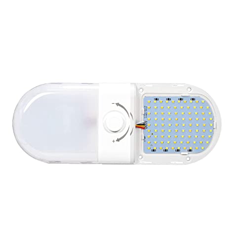 Luces LED de 12 voltios de 10W con 3 temperaturas de color e interruptor integrado 2
