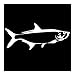 Zabawny 15.2x6.3 cm Tribal Tarpon King Fish Vinyl Samochód Naklejki Funny Animal Window Naklejki Dekoracyjne Czarny/Srebrny C6-1279 (Color : Silver)