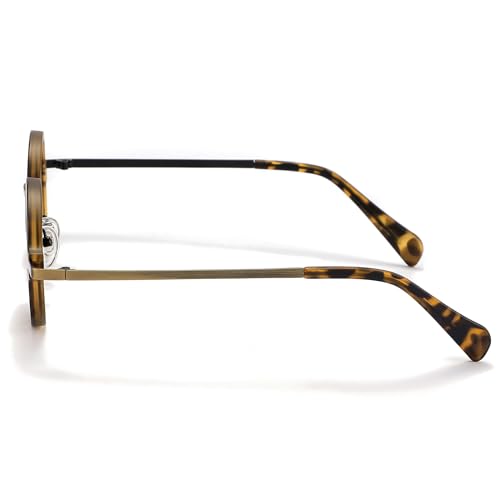 Technigadgets Dante Steampunk Vintage Round Polarized Sunglasses for Men Metal Frame Shades UV Protection4