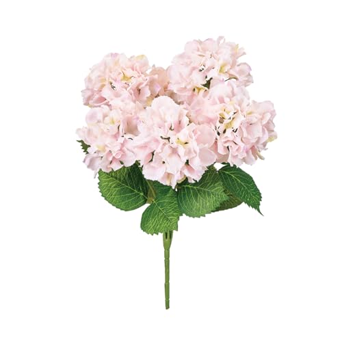 (Tokyodo)  uCgnChWAubV #002CgsN Ԗ[a15×L54×W35cm 1 FM007920-002