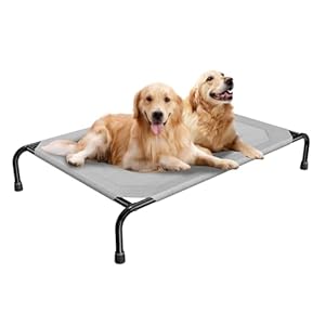 Simple Trending Raised Bed for Extra Large Dog, Waterproof XL Pet Cot, Breathable Big Bed Load 400lb, Grey