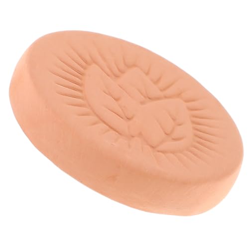 INOOMP Suavizante Azúcar Reutilizable Disco Redondo para Contenedores de Alimentos Conservación y Ablandador Rápido, Accesorio Cocina Adecuado para Almacenamiento en Cocina Doméstica