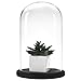 MyGift The Bell Jar Glass Cloche with Black Wood Base, 10 Inch Tall Clear Decorative Glass Dome Display for Plants, Curios, Keepsakes, Heirlooms