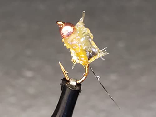 Tungsten Bead Flash Nymph, Tungsten Bead Head Nymph #16 Half Dozen #18 Light